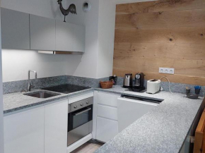 Duplex rénové 3 pièces avec jardin, parking et animaux admis à Chamonix - FR-1-517-25